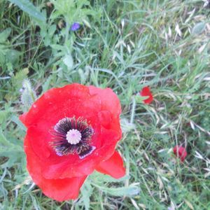 Meet your Posher, Deborah